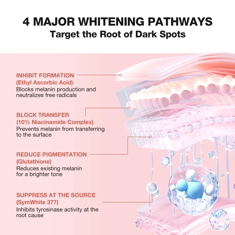 An informational graphic titled '4 MAJOR WHITENING PATHWAYS' with text listing mechanisms such as inhibiting melanin formation, blocking transfer, reducing pigmentation, and suppressing at the source. The right side shows a stylized cross-section of skin with pink, peach, and blue illustrated elements.